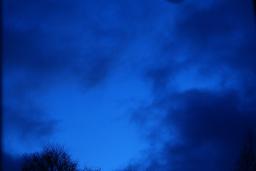 thumbs/dsc00650.jpg.jpg