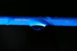 thumbs/dsc05611.jpg.jpg