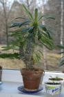 thumbs/dsc01945.jpg