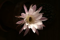 dsc01326.jpg