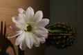 dsc01983.jpg