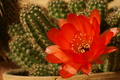 dsc02330.jpg