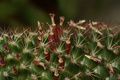 dsc02358.jpg