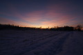 dsc00268.jpg