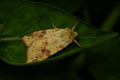 dsc07568.jpg