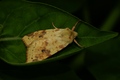 dsc07568_1.jpg