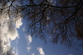 dsc09391.jpg