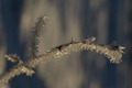 dsc10111.jpg