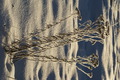 dsc10117.jpg