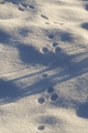 dsc10119_1.jpg