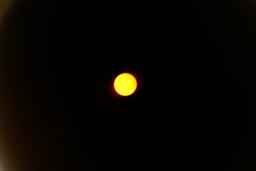 thumbs/dsc06749.jpg.jpg