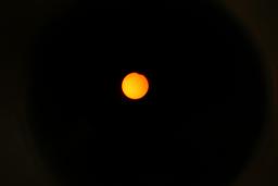 thumbs/dsc06752.jpg.jpg