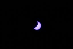 thumbs/dsc06796.jpg.jpg