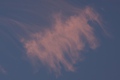 dsc01545.jpg