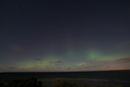 dsc01665.jpg