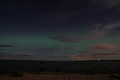 dsc04591.jpg